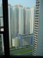 View from the living room window