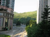 Shadows of highrises on a tree-covered hillside