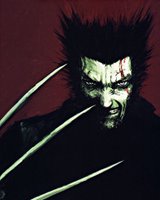 wolverine