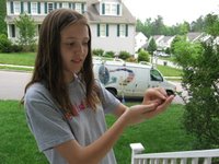 Emily caught a toad