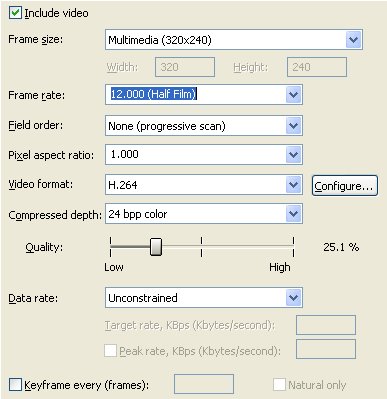 Apple's H.264 Codec