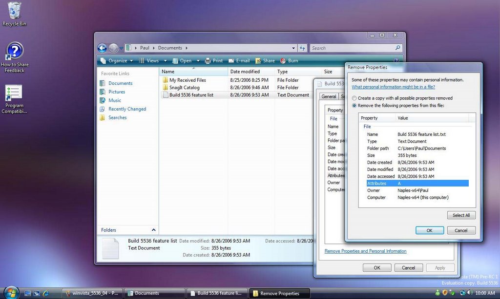 Windows Vista Luanch Date