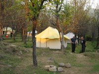 Our tent in an apple orchard at Bir