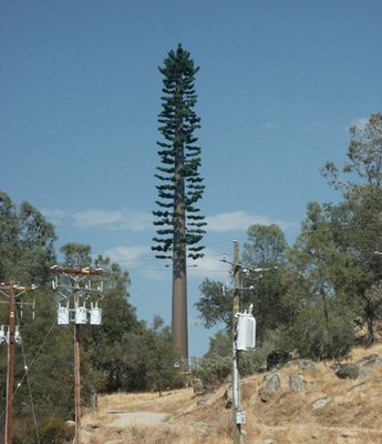 cell towers as trees