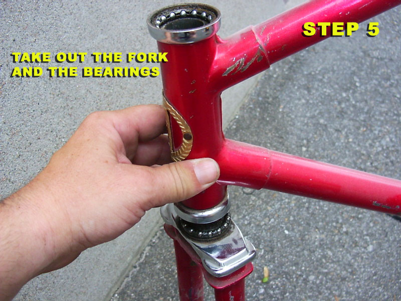 bike fork bearings