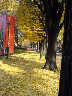 Turin, Italy: An autumn afternoon