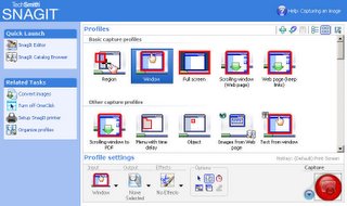 SnagIt 8 Interface