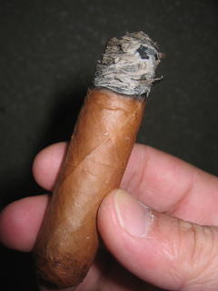Cohíba Robusto meeting its fiery death