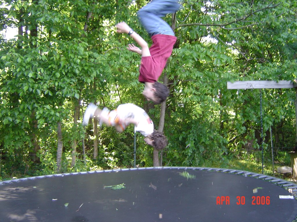Boy, these trampolines are awesome!