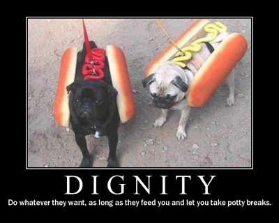 Dignity