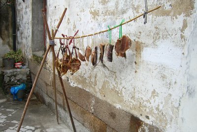 Some Fish Drying in an Alley Near Bar Street