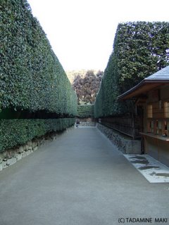 Ginkakuji Temple, Kyoto sightseeing