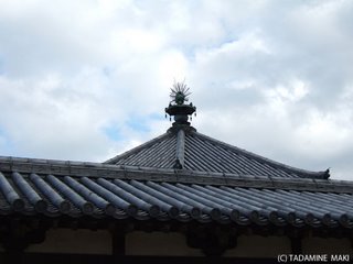 Horyuji Temple, Nara sightseeing
