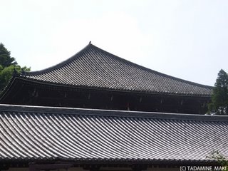 Todaiji Temple, Nara sightseeing