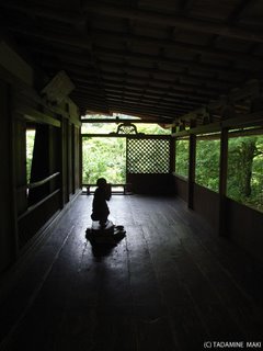 Kozanji Temple, Kyoto sightseeing
