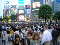 Shibuya crossing