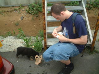 Feeding stray black puppy dog bread and water in Taiwan by Fisherman's Wharf