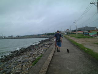 Walking along shore with stray black puppy dog in Taiwan by Fisherman's Wharf