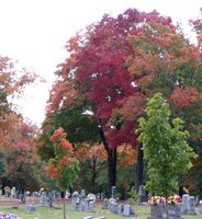 Maplewood Cemetery