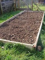 Raised bed sown with grazing rye