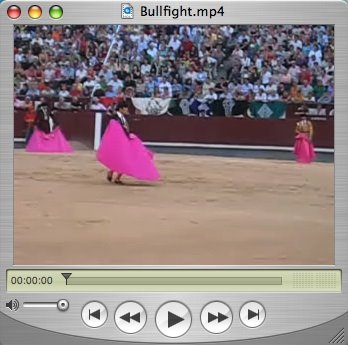 Bullfight in Madrid