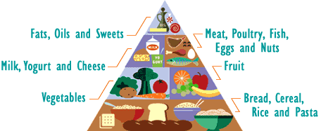 essay of food pyramid essay of food pyramid