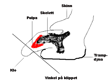 klippa klor hund pulpa klippa klor hund pulpa