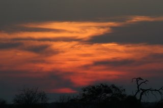 Another beautiful sunset in the Limpopo Valley...