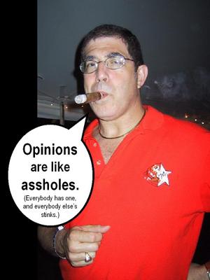 Elisson on Opinions