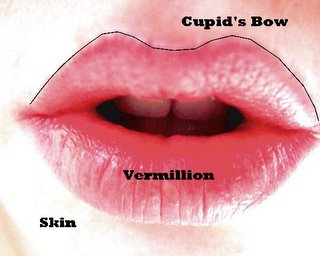Sexy Lips and Cupid's Bow