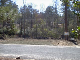 This is looking from the far right side of my property towards the street.