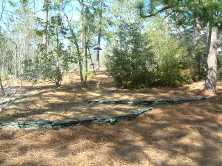Some angle as the last shot but with the pinestraw back in place and the dirt filled in and flattened.