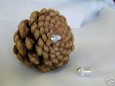 Example of a pinecone microcache currently being sold on Ebay.