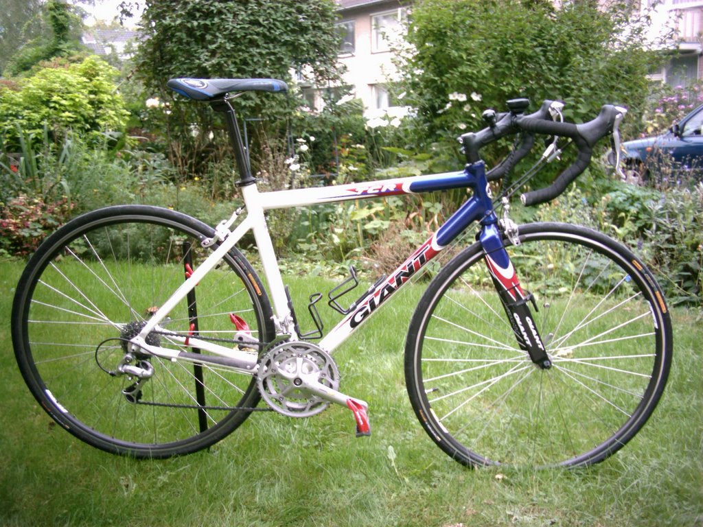 giant tcr 2002