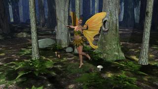 Fairie Forest Day