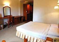 City Angkor Hotel_Room