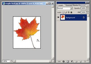 learn how to create autumn leaves in photoshop using this tutorial