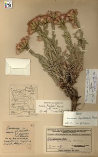 Herbarium