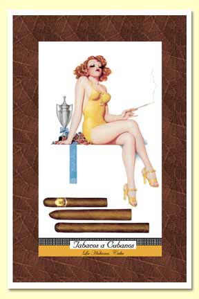Premium cigars, Fine cigars, Montecristo, Cohiba, CAO, Punch, Buy cigars, Girl, Cigar, Cigar girl, Cigar babe, Big mikes, Cigars, Girl with cigar, Babe with cigar, Hottie with cigar