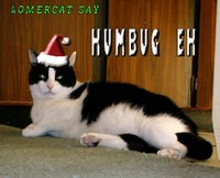 HOMERCAT HUMBUG