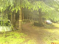 Crazy Blair Witch Forest
