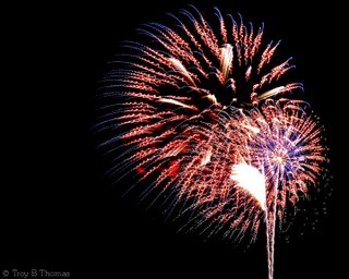 Fireworks from Fort Myers, Florida; Photography by Troy Thomas