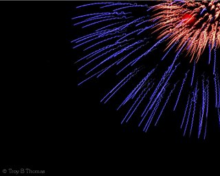 Fireworks from Fort Myers, Florida; Photography by Troy Thomas