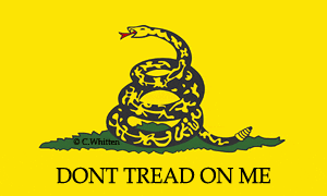 Gadsden Flag - Don't Tread On Me