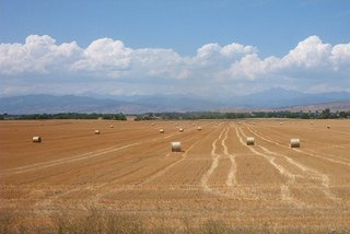 Drought, water worries cloud skies for US farmers