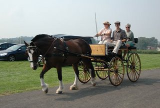  horse and cart