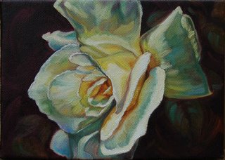Rose Petals by Lori Levin