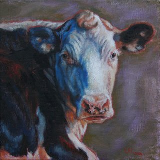Cow by Lori Levin
