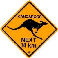 Kangoeroe