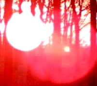 Zonsopkomst 23-01-06